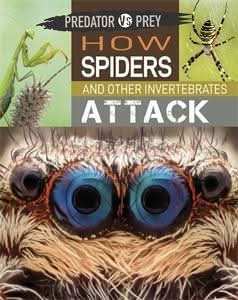How Spiders and other Invertebrates Attack