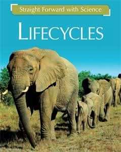 Life Cycles