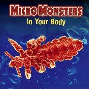 In Your Body