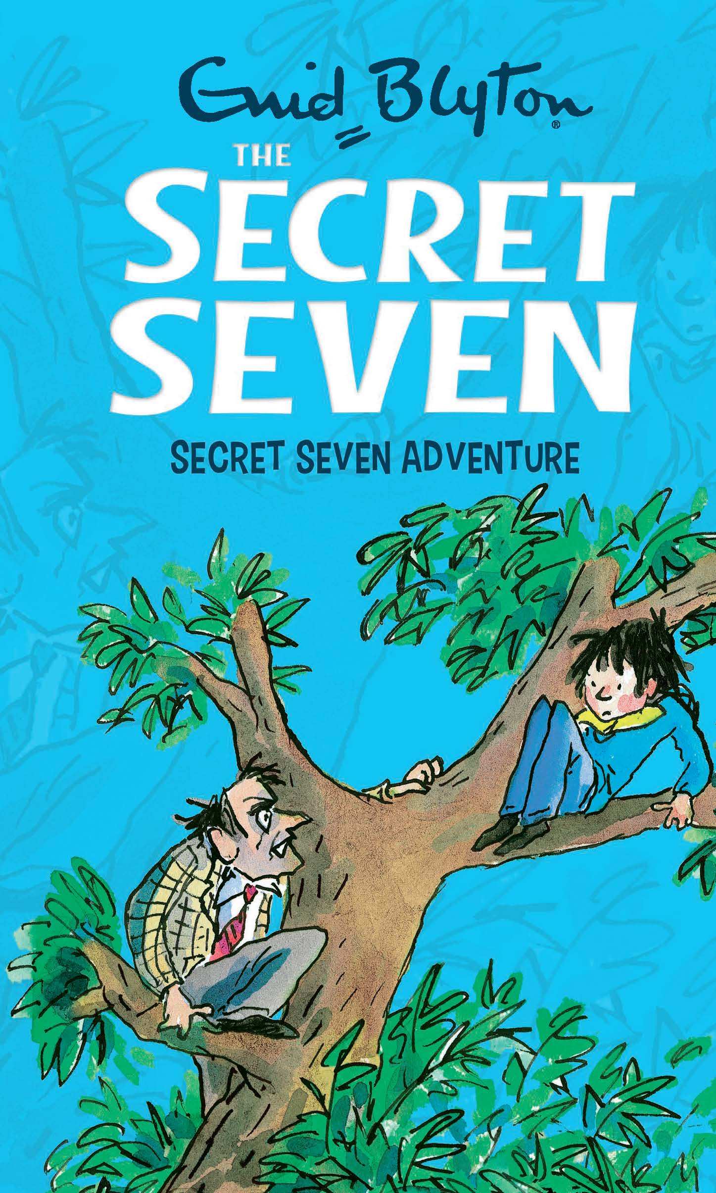 Secret Seven: 02: Secret Seven Adventure (Standard)