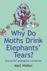 Why Do Moths Drink Elephants' Tears?