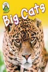 Big Cats
