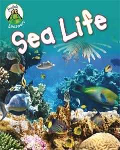 Sea Life