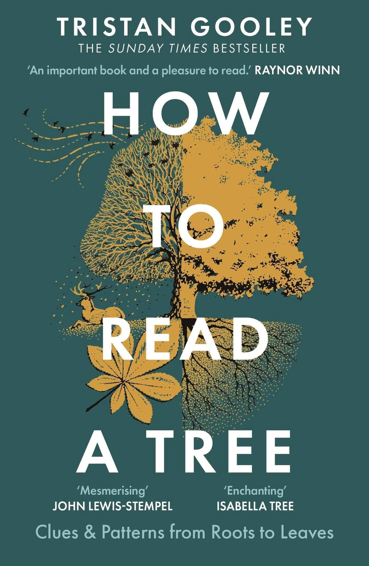 Authors Tree How to Read a Tree | Tristan Gooley | Oxford Bookstore – Oxfordbookstore