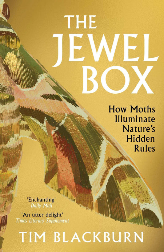 Jewel Box