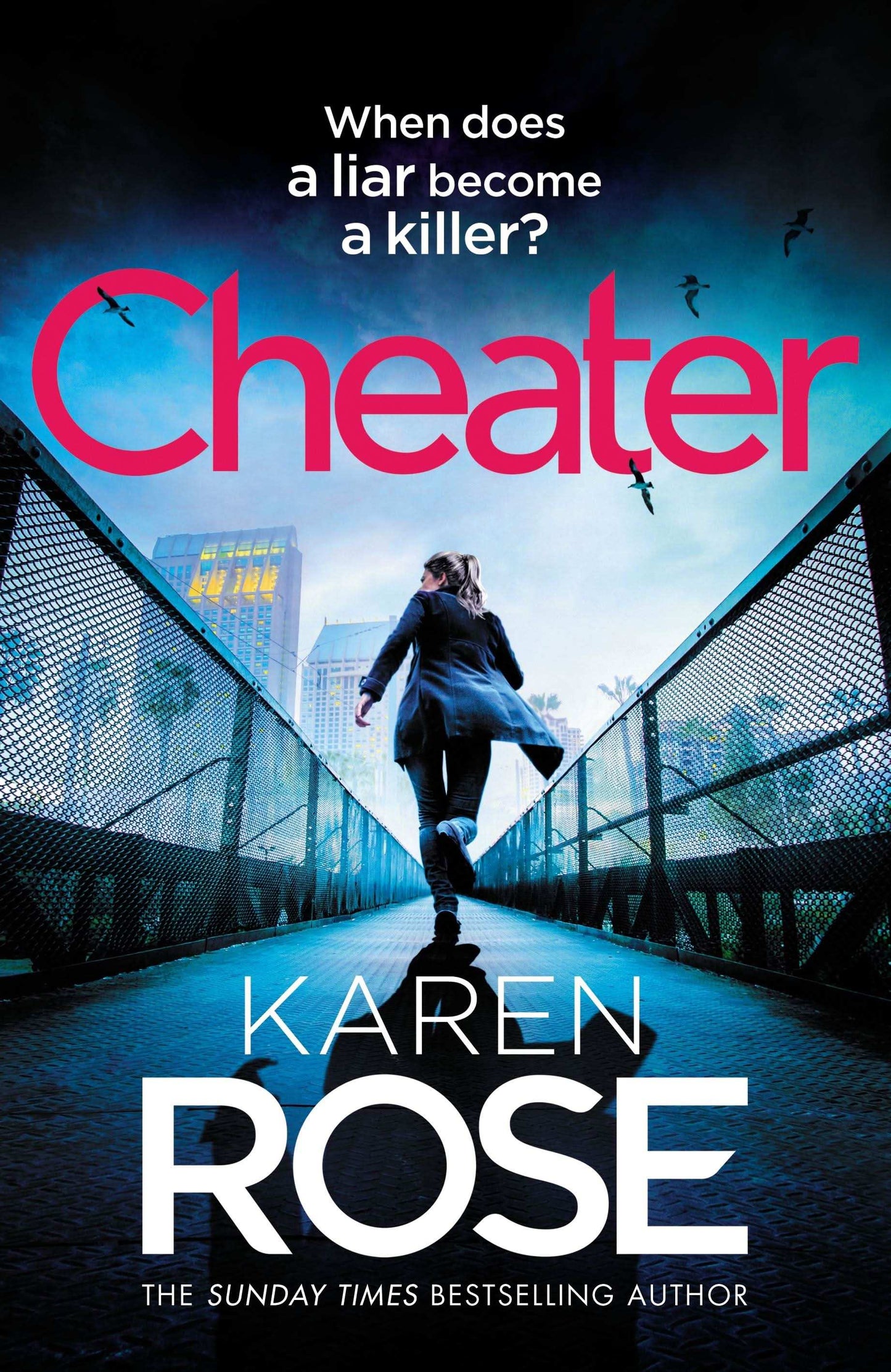 Cheater:The Gripping New Novel From The Sunday Times Bestselling Author