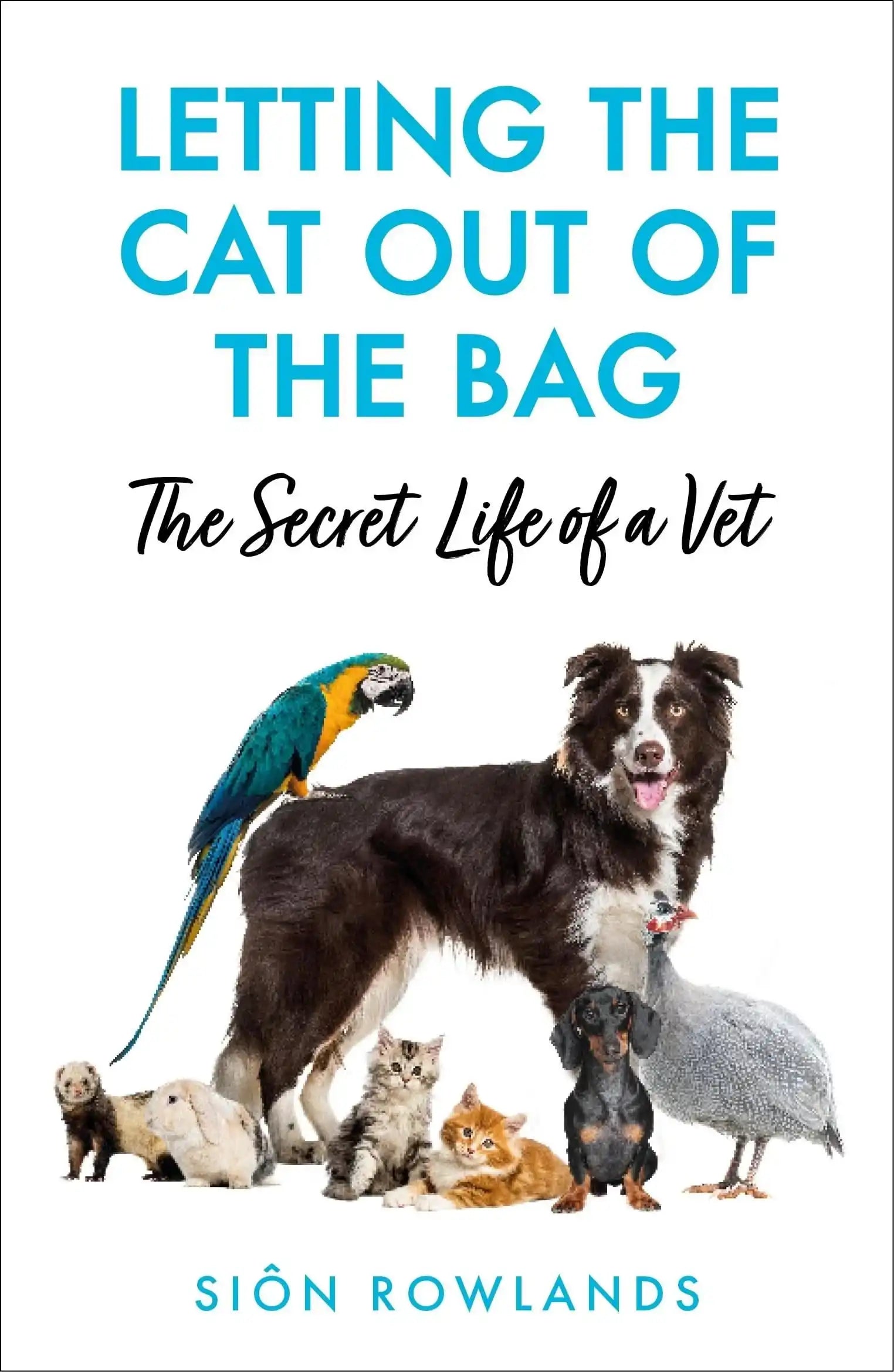 Letting The Cat Out of The Bag: The Secret Life of A Vet