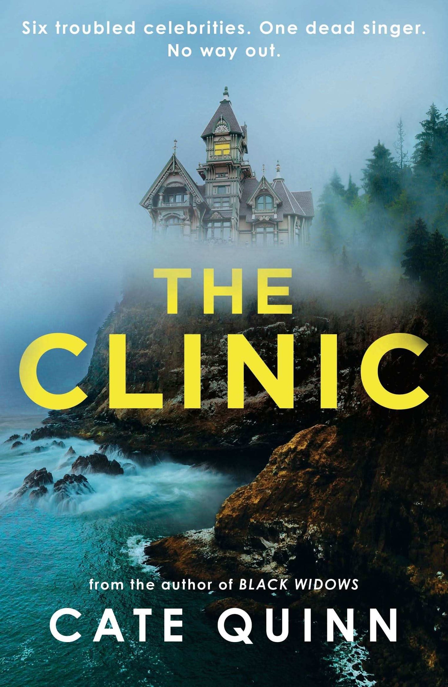 Clinic:The Compulsive New Thriller From The Critically Acclaimed Author of Black Widows
